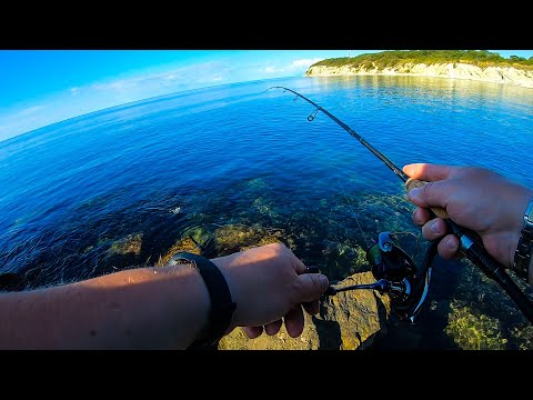 Видео: Rockfishing на Чёрном море!!! Сарган, Ласкирь, Луфарь!!! Rockfishing in the Black sea!!!