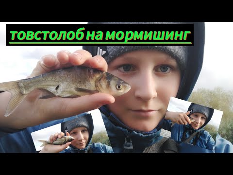 Видео: товстолоб на мормишинг перша риба в житі на мормишинг підпишись!!!