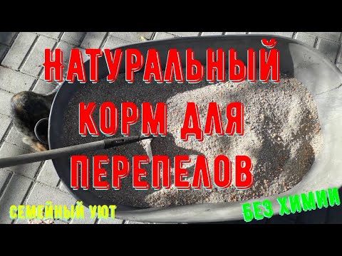 Видео: Хватит переплачивать за комбикорм. Корм для перепелов. Домашний комбикорм