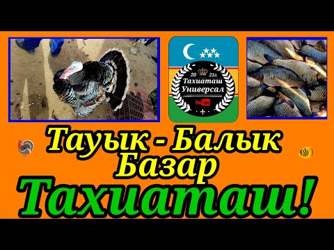 Видео: 02.11.25ж.ТАУЫК - БАЛЫК БАЗАР, ПТИЧИЙ РЫНОК #тахиаташ#каракалпакистан#бахалары#цены#рыба#куры#утки