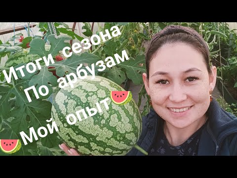 Видео: Итоги  по 🍉 сезона 2022/Наш опыт выращивания 🍉