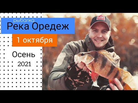 Видео: рыбалка река Оредеж 1 октября осень 2021