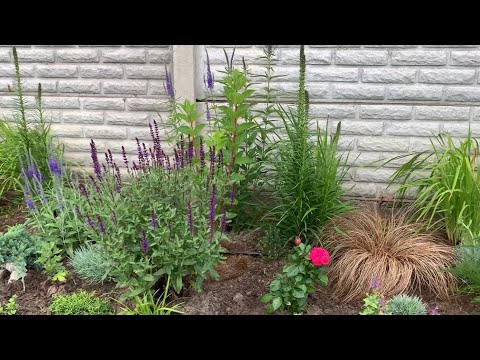 Видео: Живцюю все що бачу😊