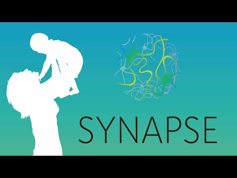 Видео: Проект Синапс