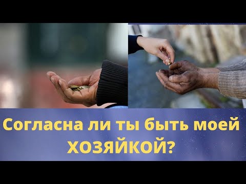 Видео: Сделал предложение - готовься к разводу
