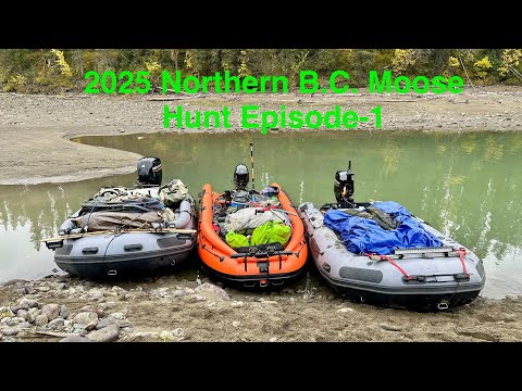 Видео: Охота на лося на севере Британской Колумбии, 2025