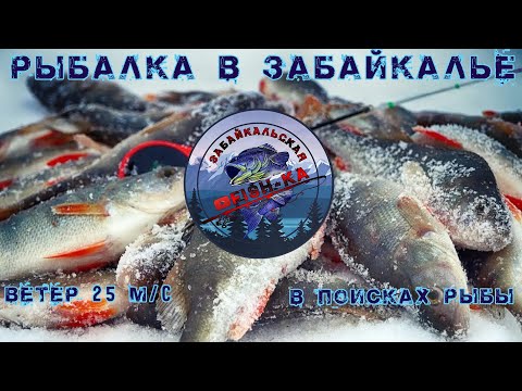 Видео: РЫБАЛКА в Забайкалье. Ветер 25 м/c, метель.В ПОИСКАХ РЫБЫ.