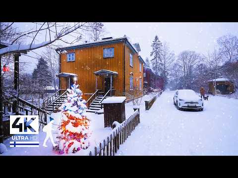 Видео: Снегопад в пригороде Хельсинки ☃️ ФИНЛЯНДИЯ - Slow TV 4K