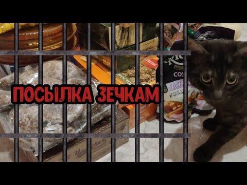 Видео: КАК ПРАВИЛЬНО СОБРАТЬ ПОСЫЛКУ В ЗОНУ?
