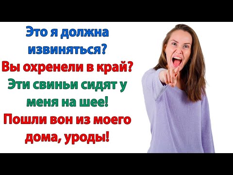 Видео: Гости не живут месяцами за чужой счет! А квартиранты платят за жилье! высказала невестка свекрови