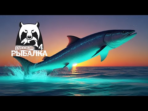 Видео: Русская Рыбалка 4  🔥🍀🔥 Russian Fishing 4