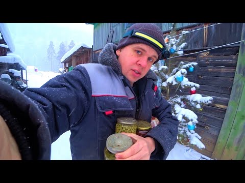 Видео: К нам приехал важный гость