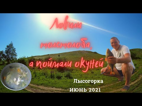 Видео: Рыбалка на лысогорке 2021