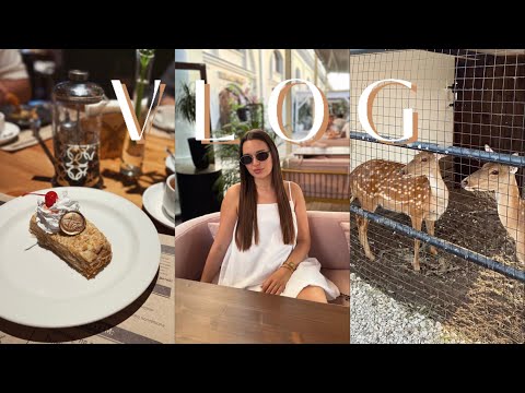 Видео: VLOG|Магазин-барахолка|Покупки|Отмечаем день рождения мужа|Распаковка Золотого яблока