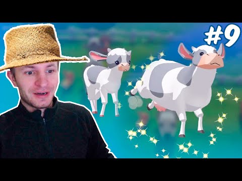 Видео: Ниламоп вырастил из теленка корову и узнал где дедушка | Big Farm Story #9