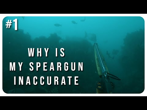 Видео: Роб Аллен | Почему моё ружьё НЕТОЧНОЕ | Часть 1 | 2025