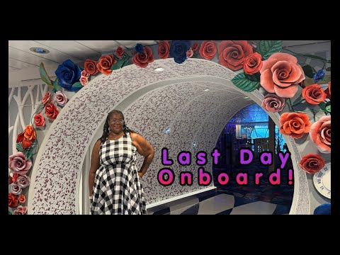 Видео: Чудо морей: посещение ресторана «Страна чудес» в Нассау, Багамские острова, водное шоу inTense