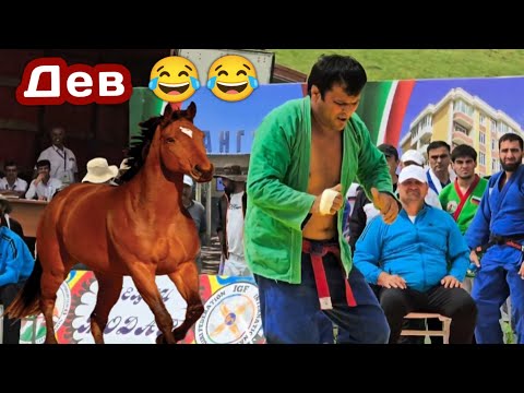 Видео: Дев Мардуми Кангурта Аз Хандондара Кушт Гуштини Нав 2025