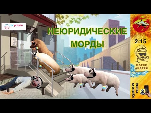 Видео: Телефонное мошенничество.  Автор - моряк Андрей.