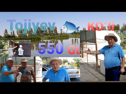 Видео: Тожиев 550 (Гектар) 😂 🐟Кўл ташкил қилибмиш👏