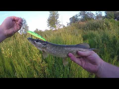 Видео: Последний заброс - Bassday Mogul Minnow 110SP (досмотрите до конца!)