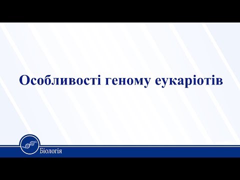 Видео: Особливості геному еукаріотів. Біологія 11 клас