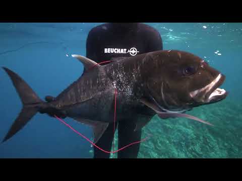 Видео: South Seas Spearo - Far Flung Fiji БОНУСНЫЙ ЭПИЗОД