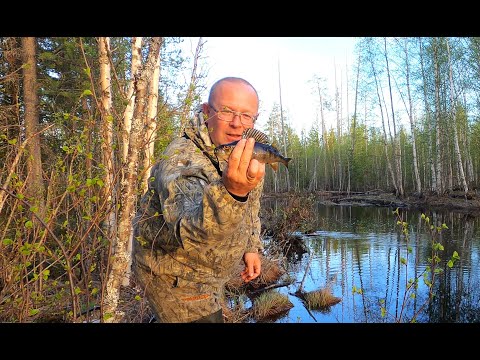 Видео: Рыбалка на маленькой таёжной речке.