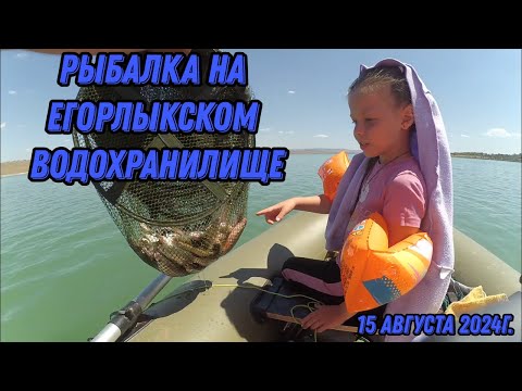 Видео: Рыбалка на Егорлыкском Водохранилище 15 августа 2024г.