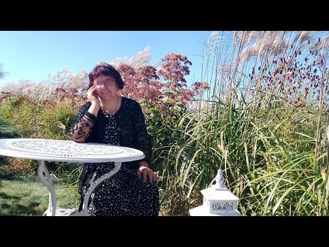 Видео: Моя осіння 🍂🍁подорож🚙в парк добра і любові - в Добропарк!❤️Із неопублікованого.🤗