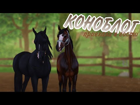 Видео: ˗ˏˋ Приехали в гости | Коноблог | RRP | Star Stable Onlineˎˊ˗