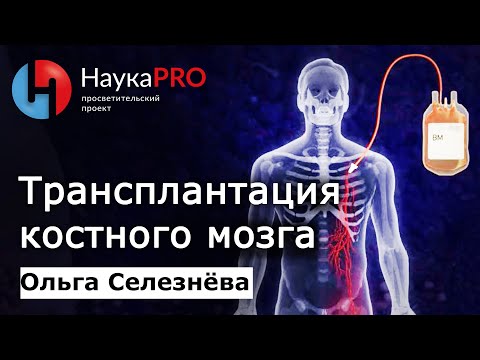 Видео: Трансплантация (пересадка) костного мозга: кому, когда и как? – Ольга Селезнёва | Научпоп