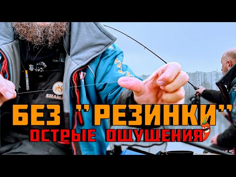 Видео: САМЫЙ ПРОСТОЙ и УЛОВИСТЫЙ ФИДЕРНЫЙ МОНТАЖ! СУПЕР СНАСТЬ НА ЛЕЩА! Ничего лишнего.