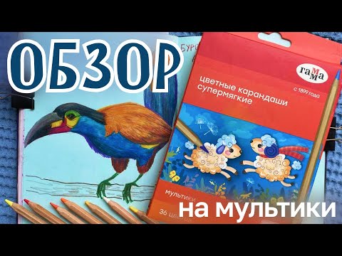 Видео: лучшие карандаши в моей жизни // обзор на супермягкие цветные карандаши гамма "мультики"