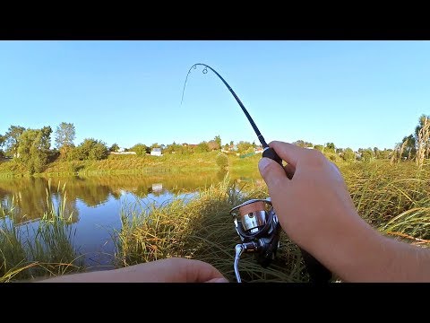 Видео: Вертушка ловит лучше микроджига! Хм... Рыбалка на закате!