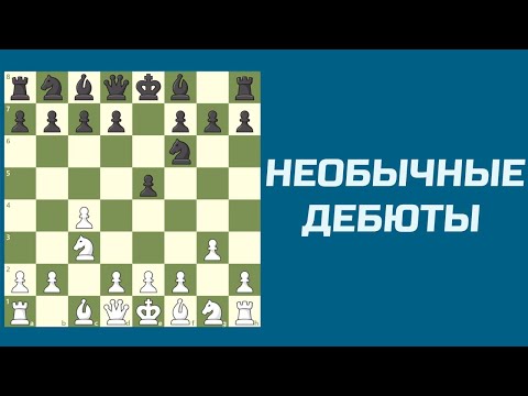 Видео: Необычные шахматные дебюты.  Дебюты в шахматах для новичков