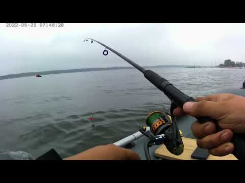 Видео: Бердский залив. Судак на балансир.