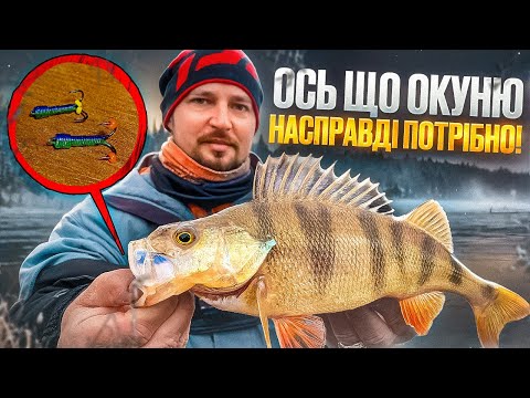 Видео: Ось Що Зараз Насправді Потрібно Окуню!