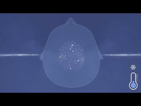 Видео: 𝗔𝗦𝗠𝗥 🧊 Холодно стало, когда я это слушал.