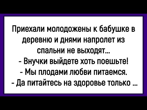 Видео: 🔥Как Молодожены Приехали К Бабушке В Деревню! Сборник Смешных Анекдотов! Юмор! Позитив!!!