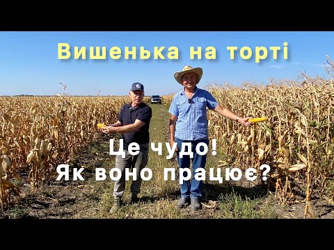 Видео: Кукурудза по No-till і по класиці: різниця - небо і земля!