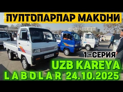 Видео: Карея Узб лаболар нархлари 💥 Labo narhlari Andijon 2025 #qodirov_tv 