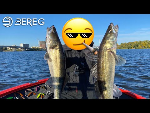 Видео: ОН ОБЛОВИЛ МЕНЯ!!! Новый ведущий на канале? Как ловить судака осенью?