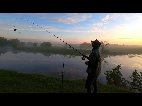 Видео: РЫБАЛКА С НОЧЁВКОЙ В ГЛУШИ У ЛЕСА . ПРИГОТОВИЛ ВКУСННЫЙ УЖИН НА КОСТРЕ . СПЛАВ ПО РЕКЕ 30 КМ .