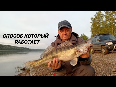 Видео: СЕКРЕТ ЛОВЛИ НА РЕЗИНКУ, МАЙ 2025, г. (3 СЕРИЯ)