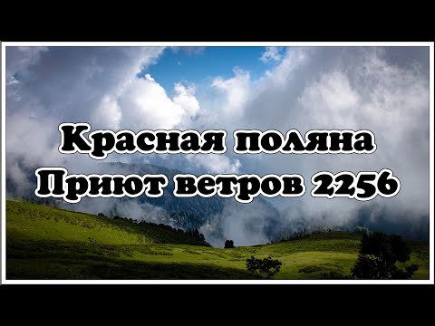 Видео: Красная поляна. Газпром Альпика. Приют ветров 2256