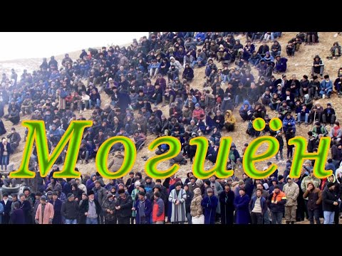 Видео: Бузкашии Могиён 04 02 24
