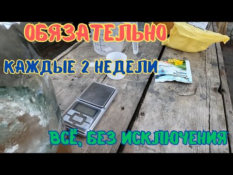 Видео: Обязательно, каждые 2 недели обработка препаратами бора и кальция + биопрепараты.#огород #сад