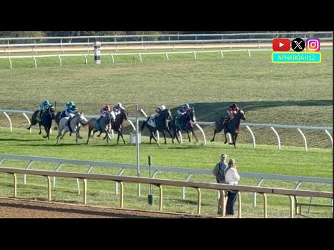 Видео: Талантливый двухлетний жеребец готовится к Кубку заводчиков на турнире Indian Summer Stakes 2025 ...