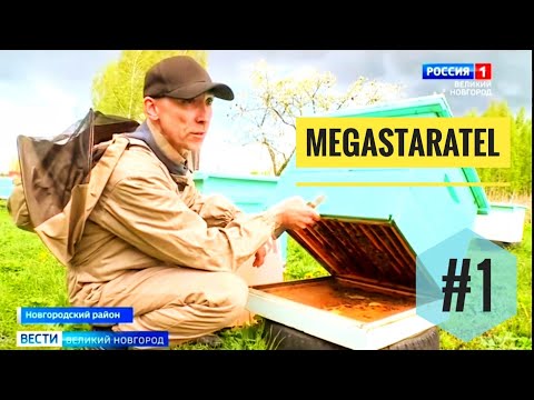 Видео: MegaStaratel: моё #пчеловодство - часть #1